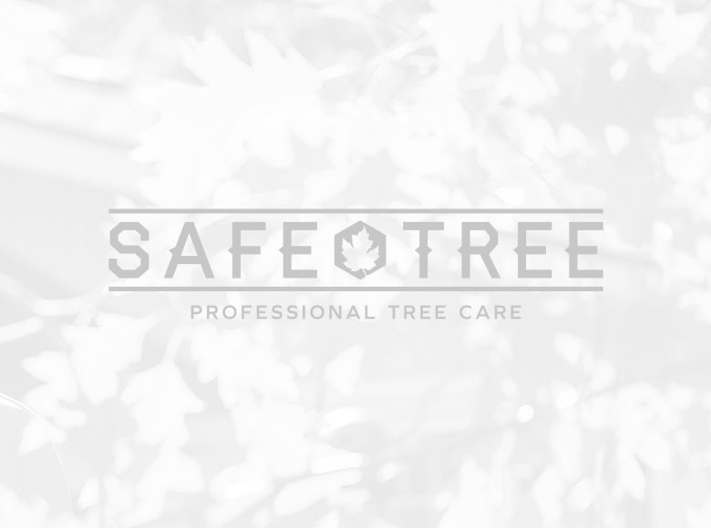 Safe Tree