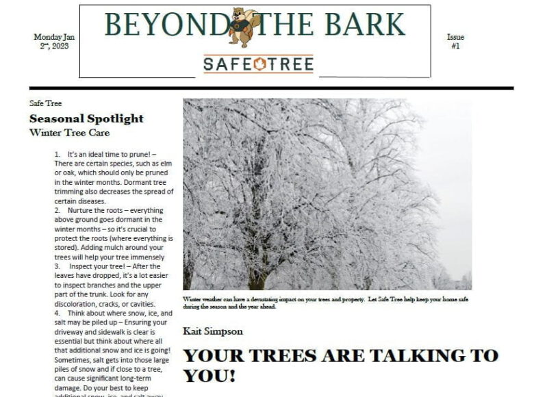 Safe Tree in the news